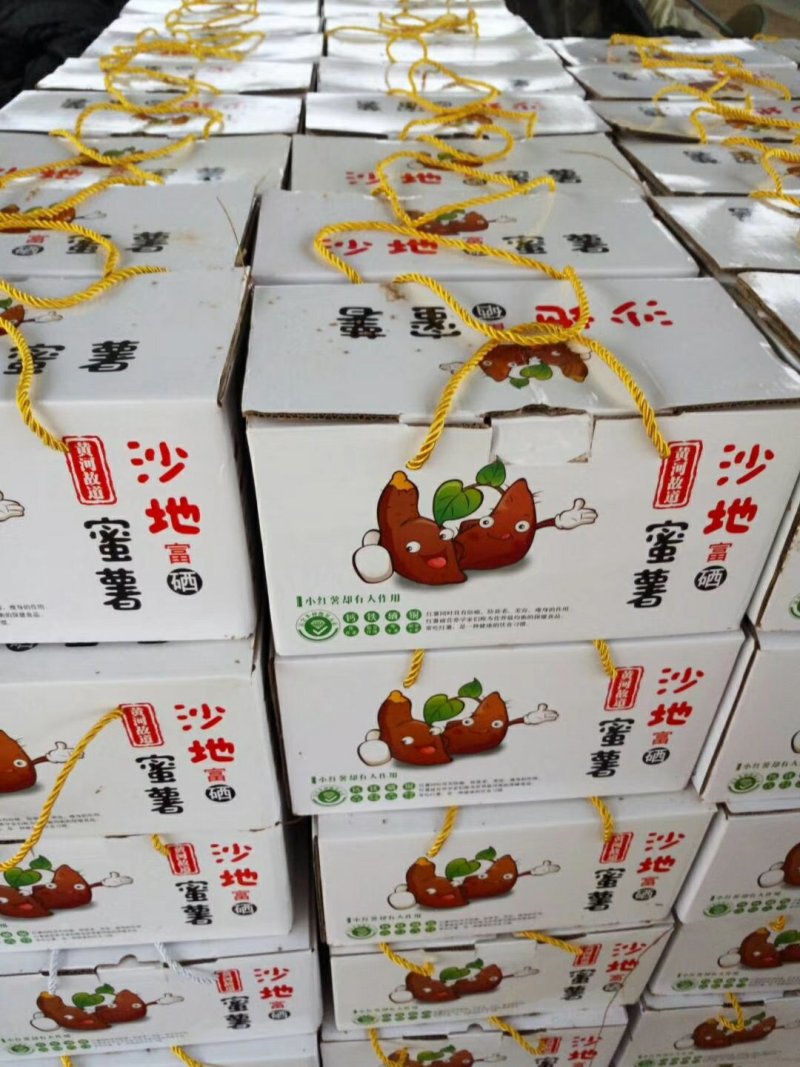 烟薯直销