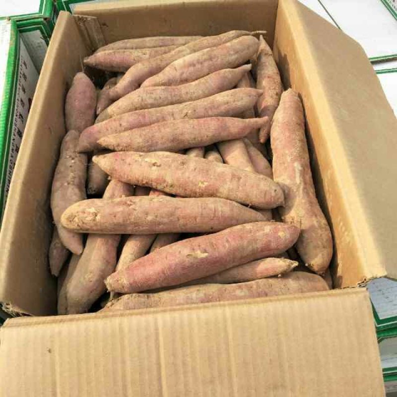 干，面，甜自己种植价格实惠