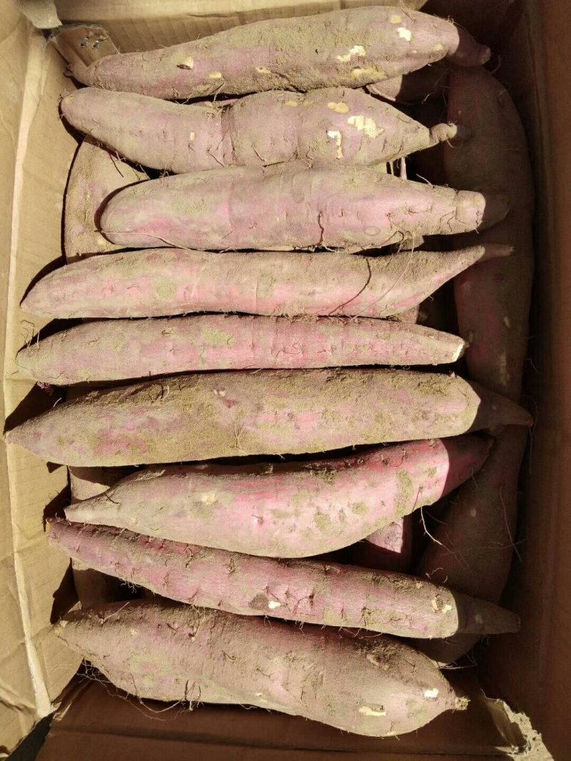 干，面，甜自己种植价格实惠