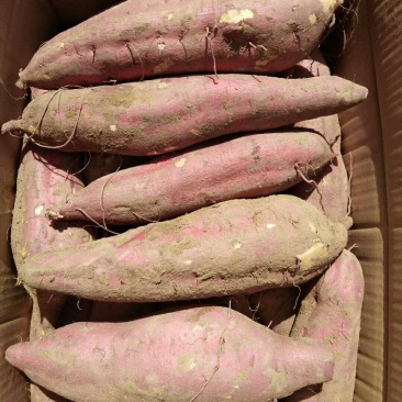 干，面，甜自己种植价格实惠