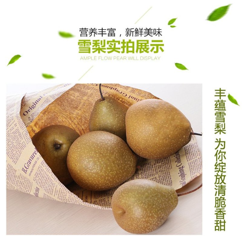 苍溪雪梨预售中（9月初采摘）