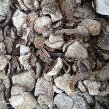 松露干片大小一起的。