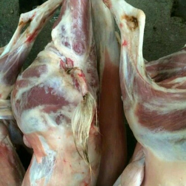 山羊肉筒子