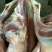 山羊肉筒子