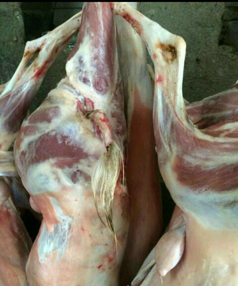 山羊肉筒子