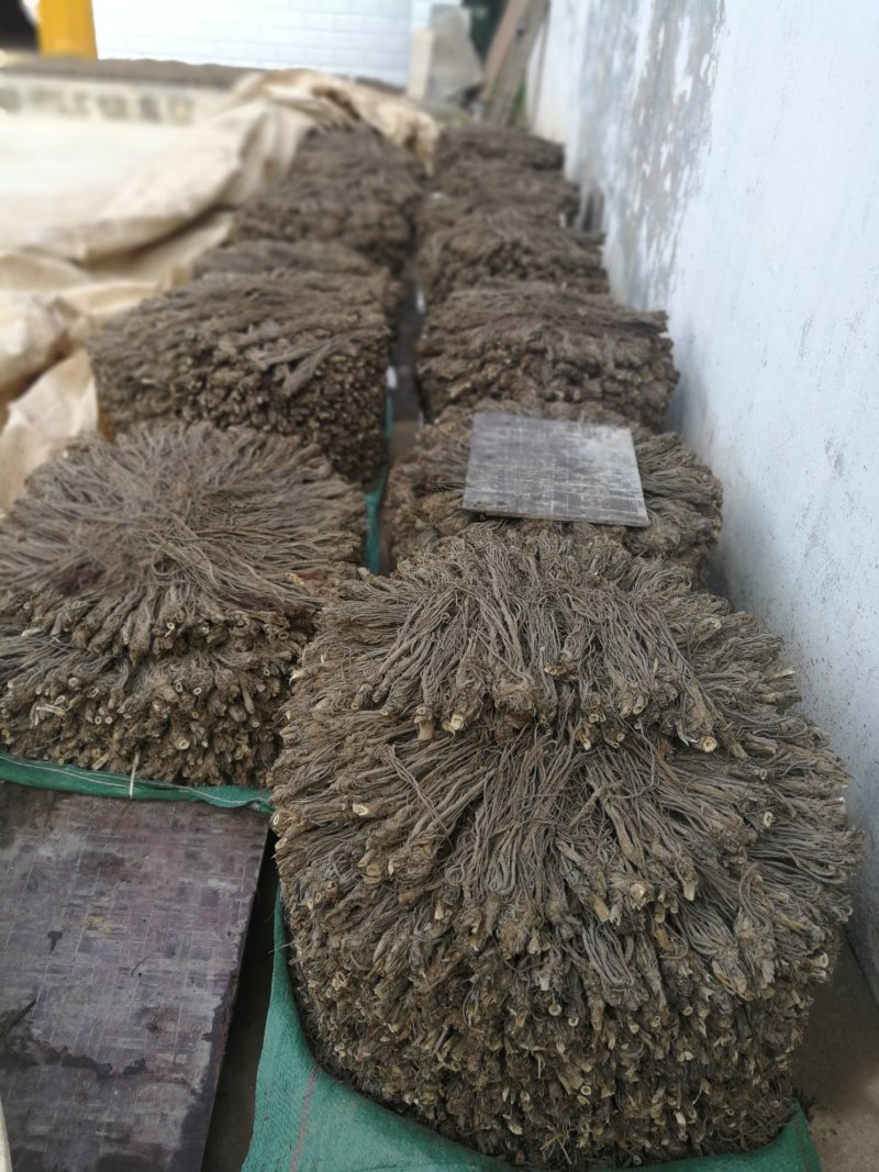 羌活，水洗，药性达标，质量保证