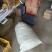 淫羊藿种苗基地直销甘肃省陇南市发货中药材种苗优选健康新鲜