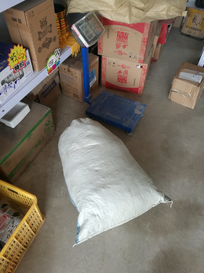 淫羊藿种苗基地直销甘肃省陇南市发货中药材种苗优选健康新鲜