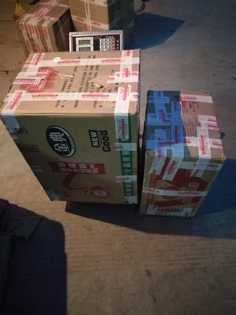 淫羊藿种苗基地直销甘肃省陇南市发货中药材种苗优选健康新鲜
