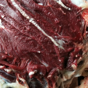带皮牛肉干货