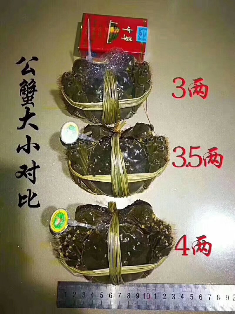 红膏大闸蟹