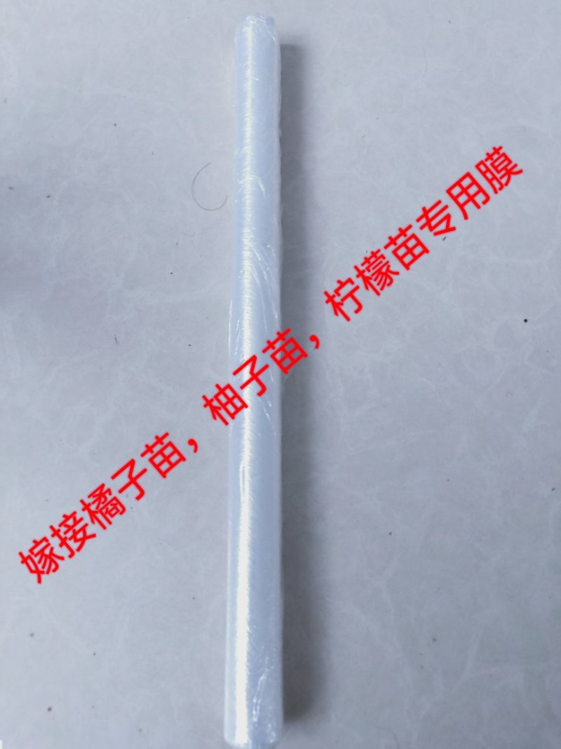 嫁接绑带嫁接条嫁接膜嫁接工人专业嫁接苗木