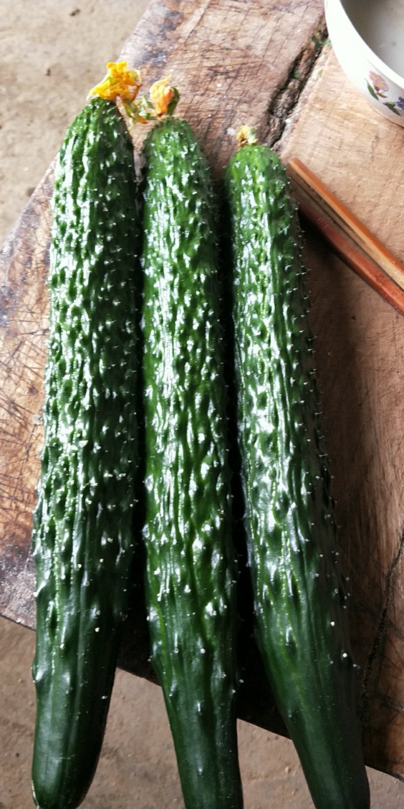 黄瓜