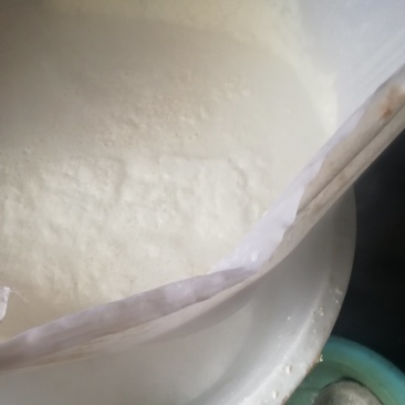 大方手撕豆腐