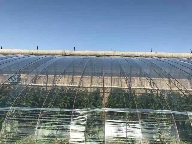 【厂家直销】润裕精品PO膜EVA精品po膜棚膜大棚膜