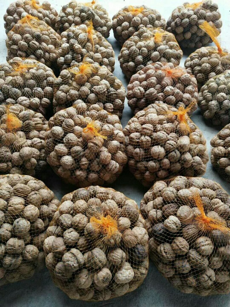 核桃