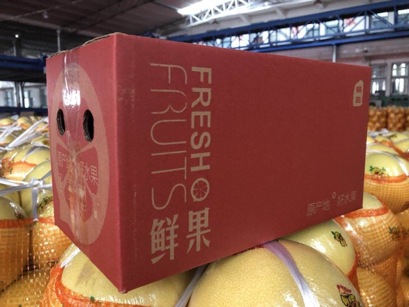 红心柚