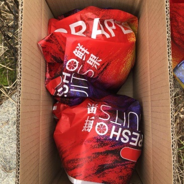 红心柚