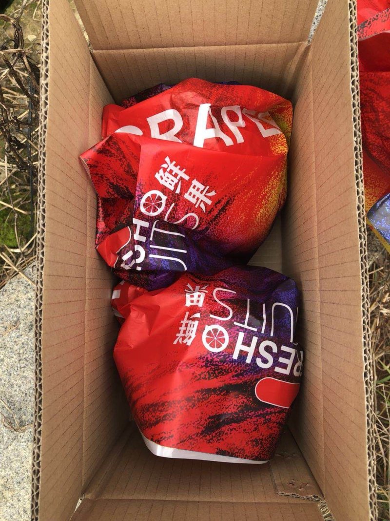 红心柚