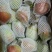 吴桥红香酥梨，皇冠，雪花