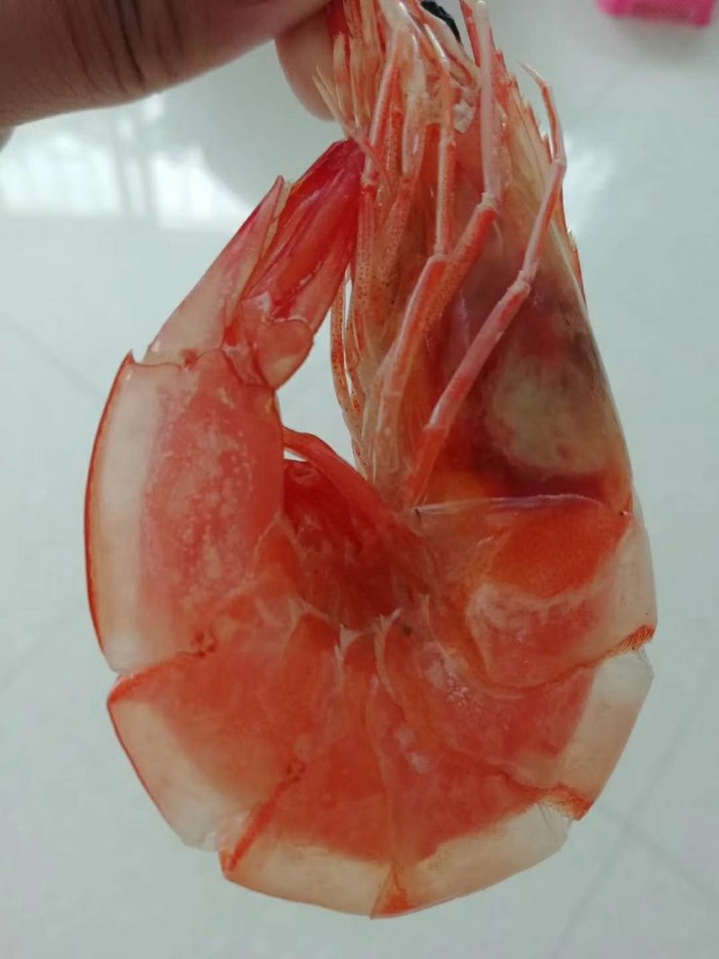 特大烤虾虾干