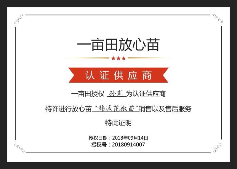 韩城狮子头花椒苗，高产量抗病抗旱，成活率高