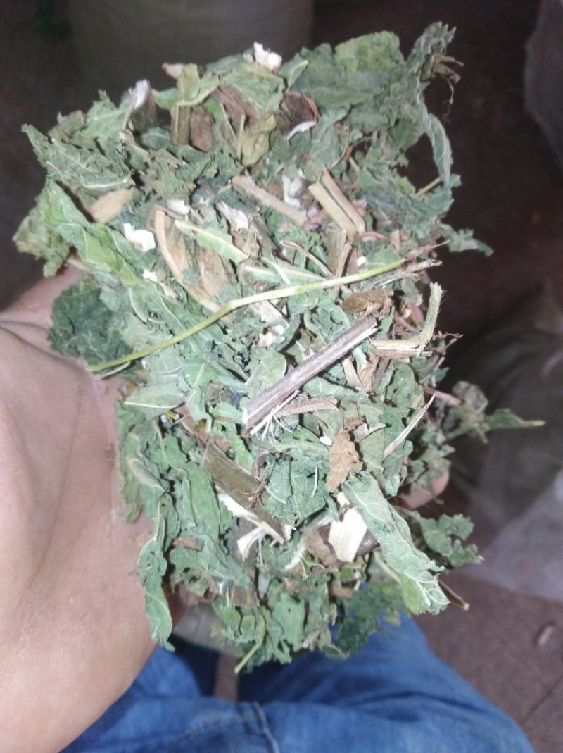 红廖中药辣蓼子辣廖红蓼水红花秧货好量大