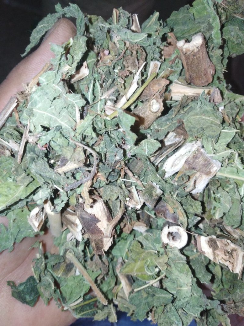 红廖中药辣蓼子辣廖红蓼水红花秧货好量大