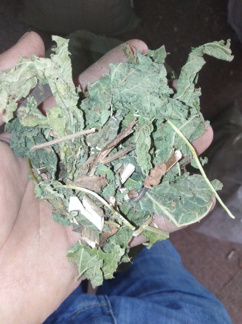 红廖中药辣蓼子辣廖红蓼水红花秧货好量大
