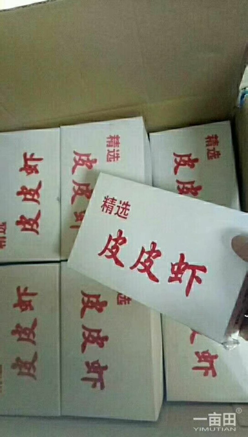 皮皮虾