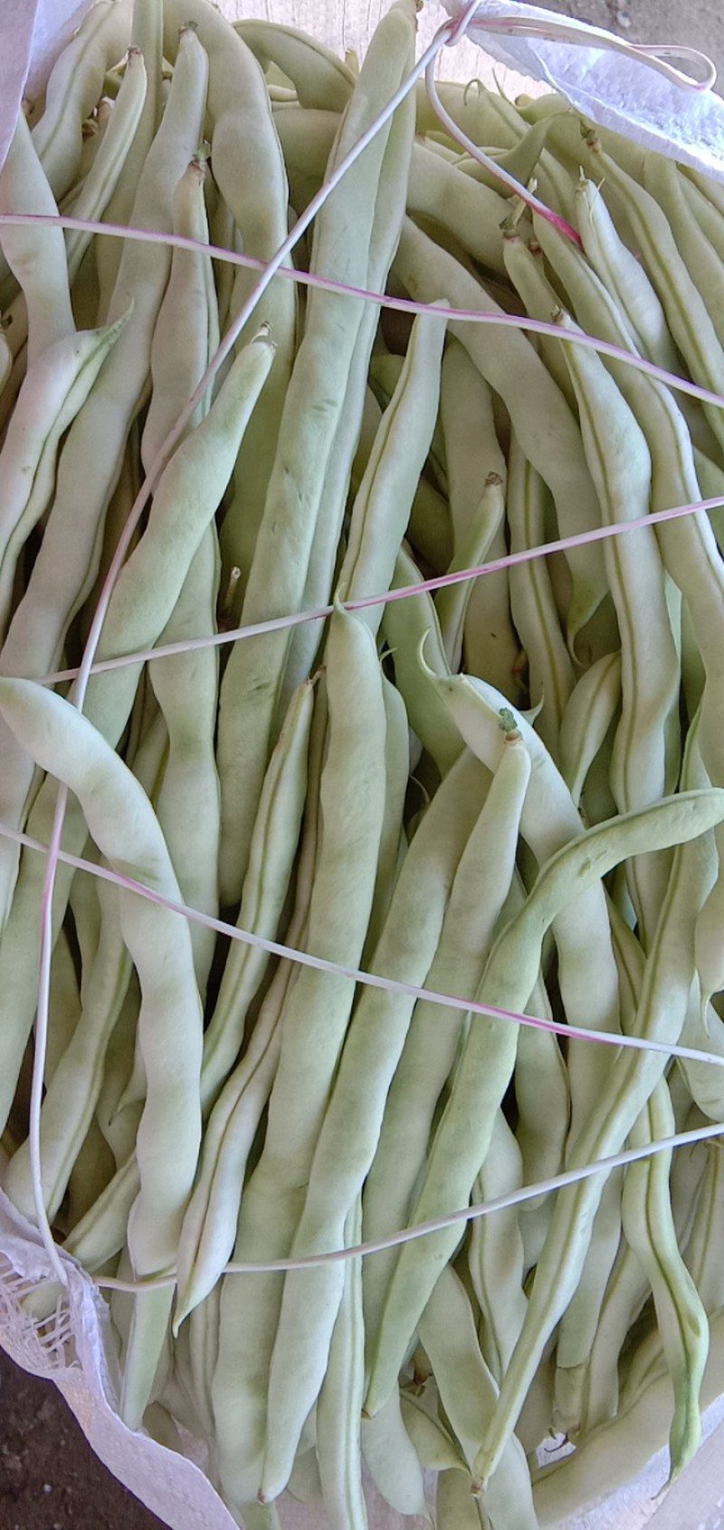 豆角