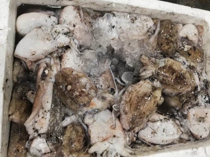 墨鱼干，不含任何添加剂，