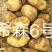 陕北内蒙土豆