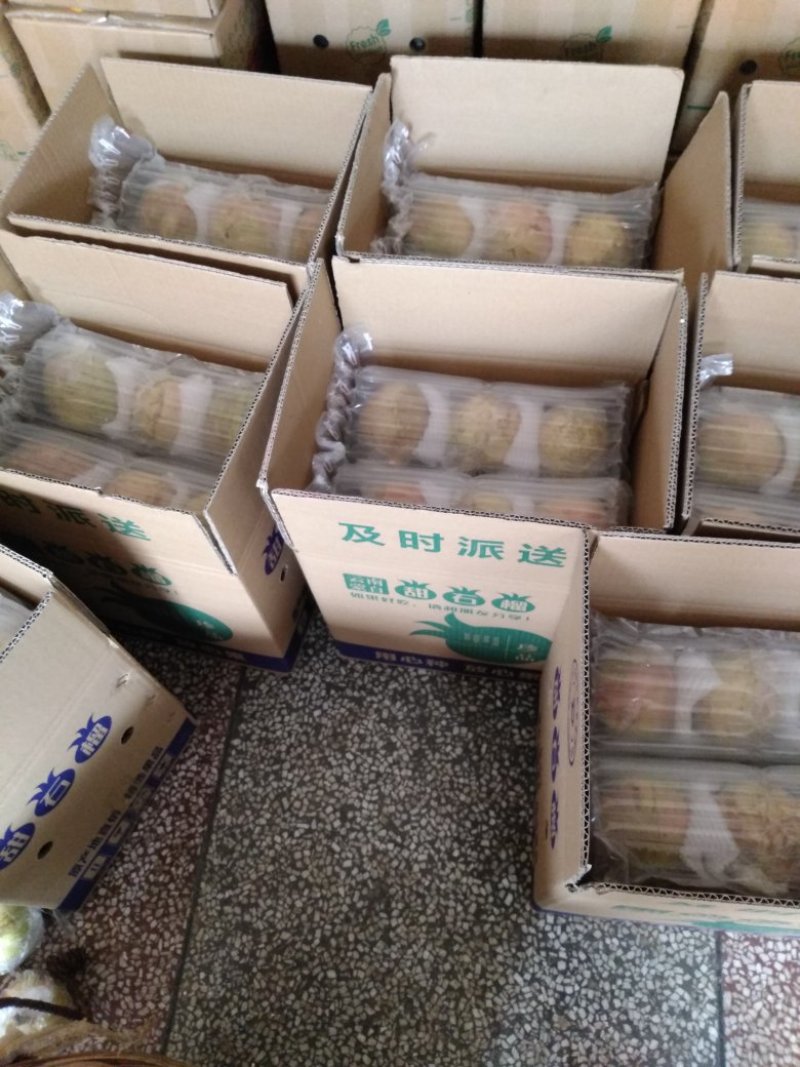 蒙自市大果绿籽薄皮石榴