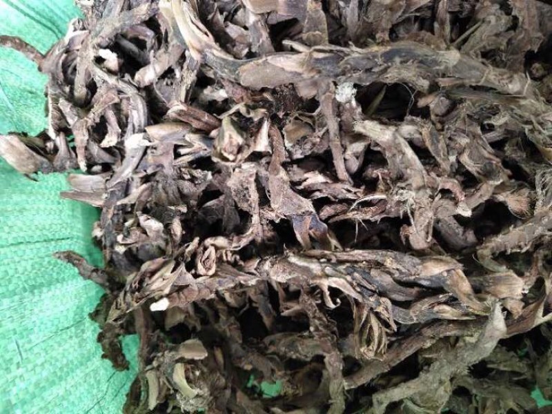 石菖蒲大统货。统条