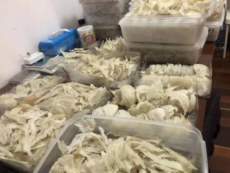 印尼燕窝