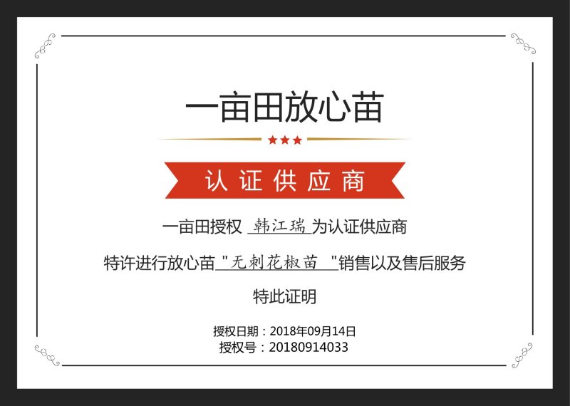 甘肃武都无刺花椒苗大红袍嫁接少刺花椒树苗提供技术指导伏椒