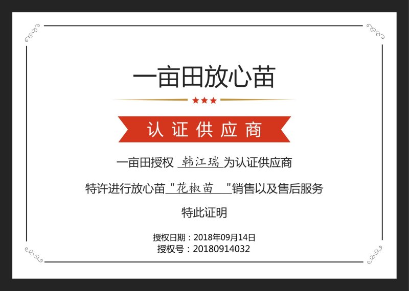 武都花椒苗大红袍狮子头伏椒1-3年苗提供技术指导甘肃陇南