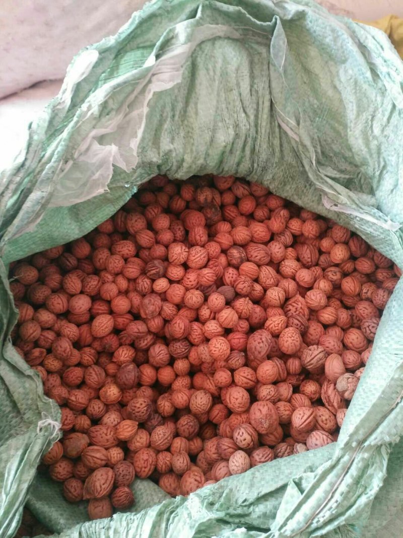 桃树种子