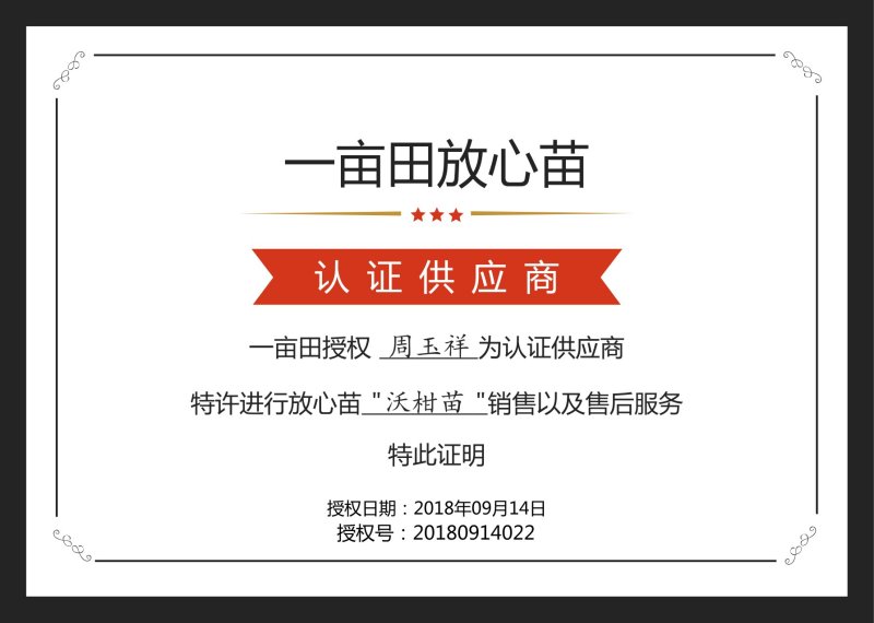 沃柑苗柑橘苗五月苗裸根苗品质保证签合同销售技术指导