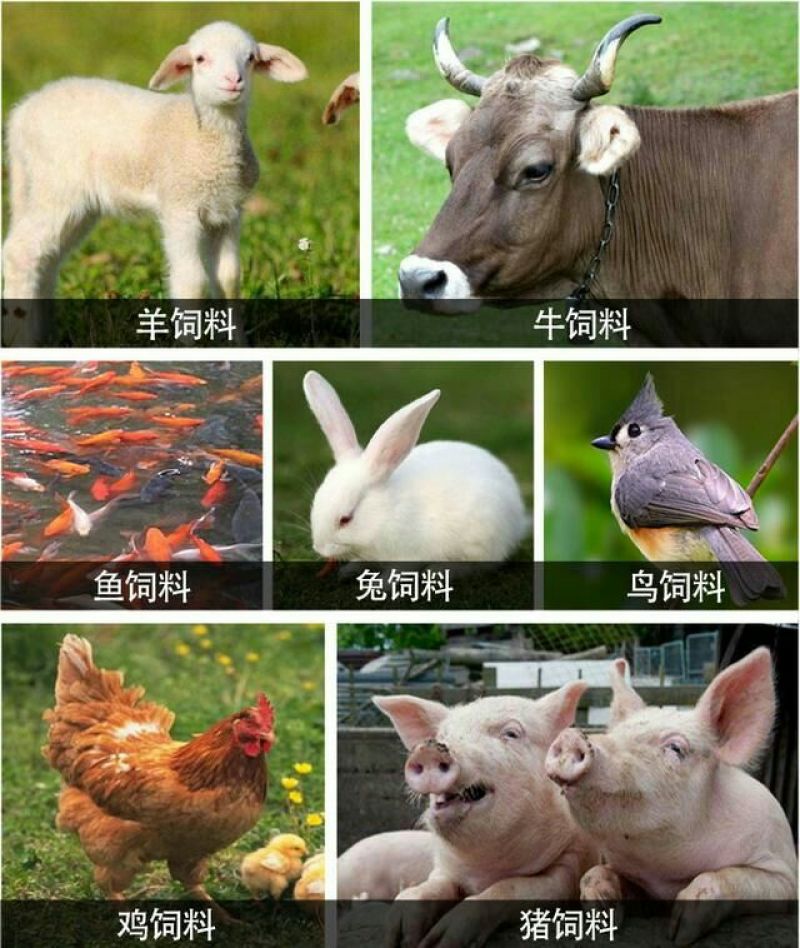 高山牌颗粒机厂家直销，价格低，一台也是批发价