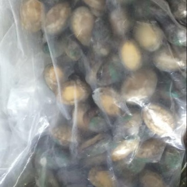 鲍鱼食用，，，，，，，，，一斤30头左右