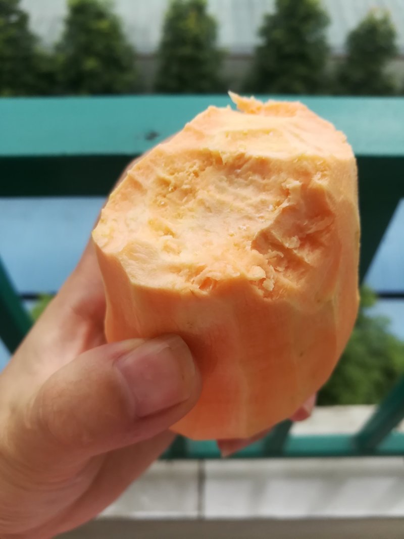 红薯四川白心红薯龙九味甜烤薯红皮红心黄心量大
