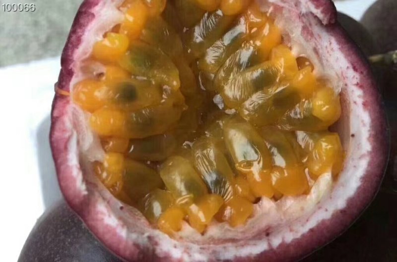 越南百香果一级果