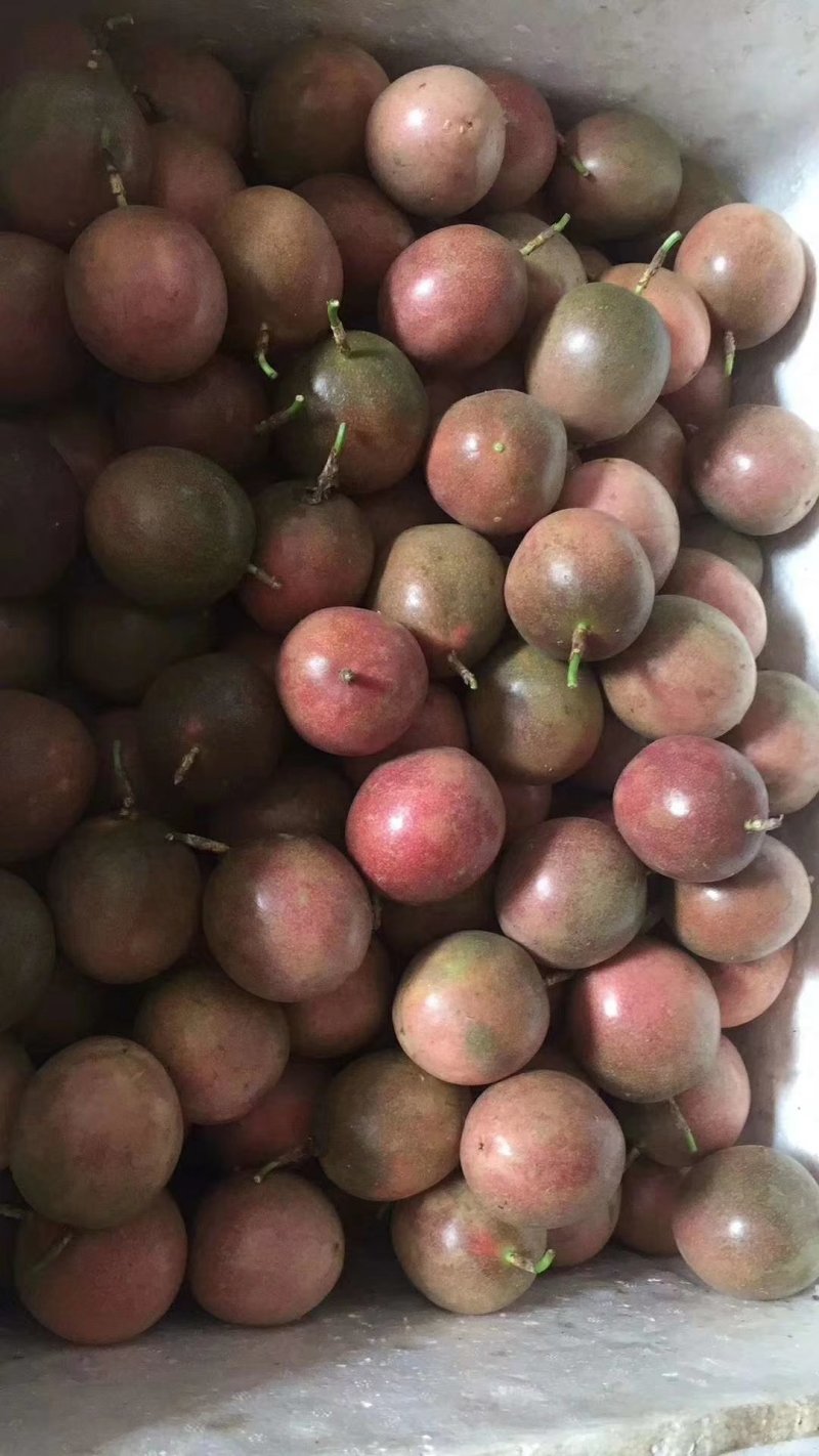 越南百香果一级果
