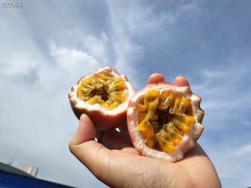 越南百香果一级果