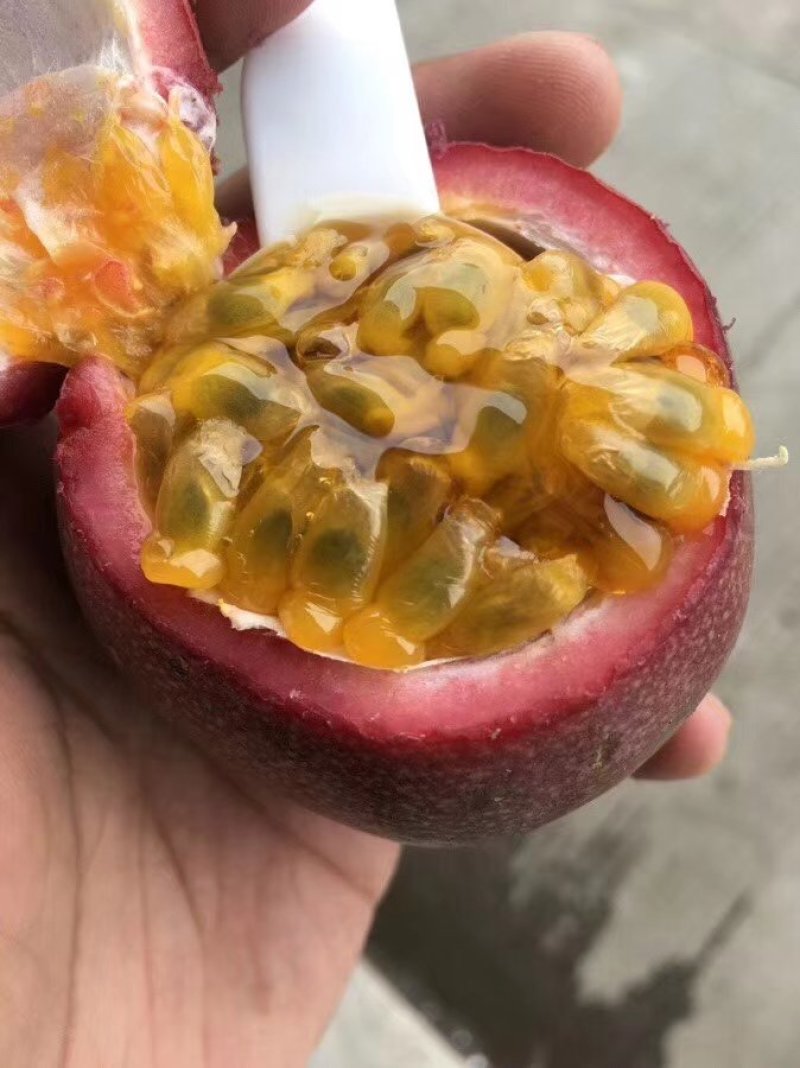 越南百香果一级果