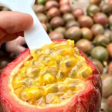 越南百香果一级果