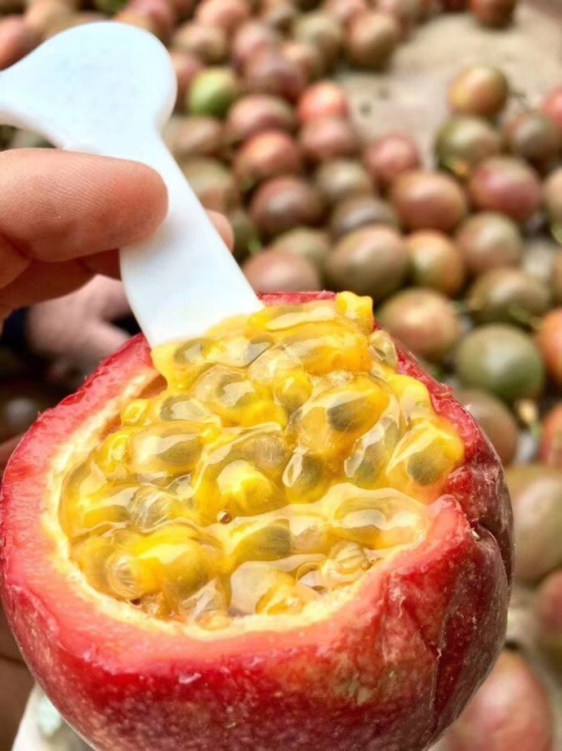 越南百香果一级果