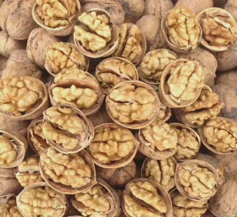 和田核桃
